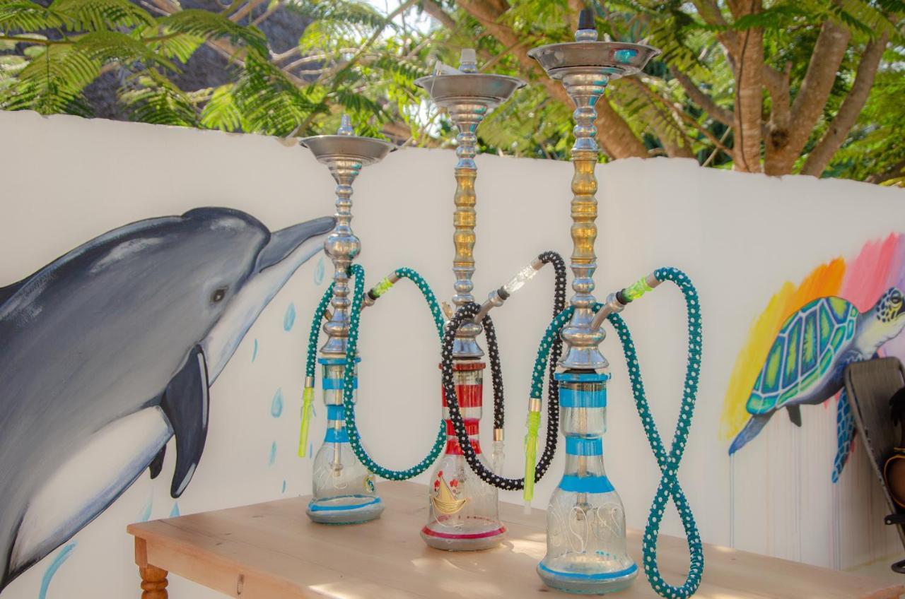 Zanpalm Boutique Hotel Michamvi エクステリア 写真